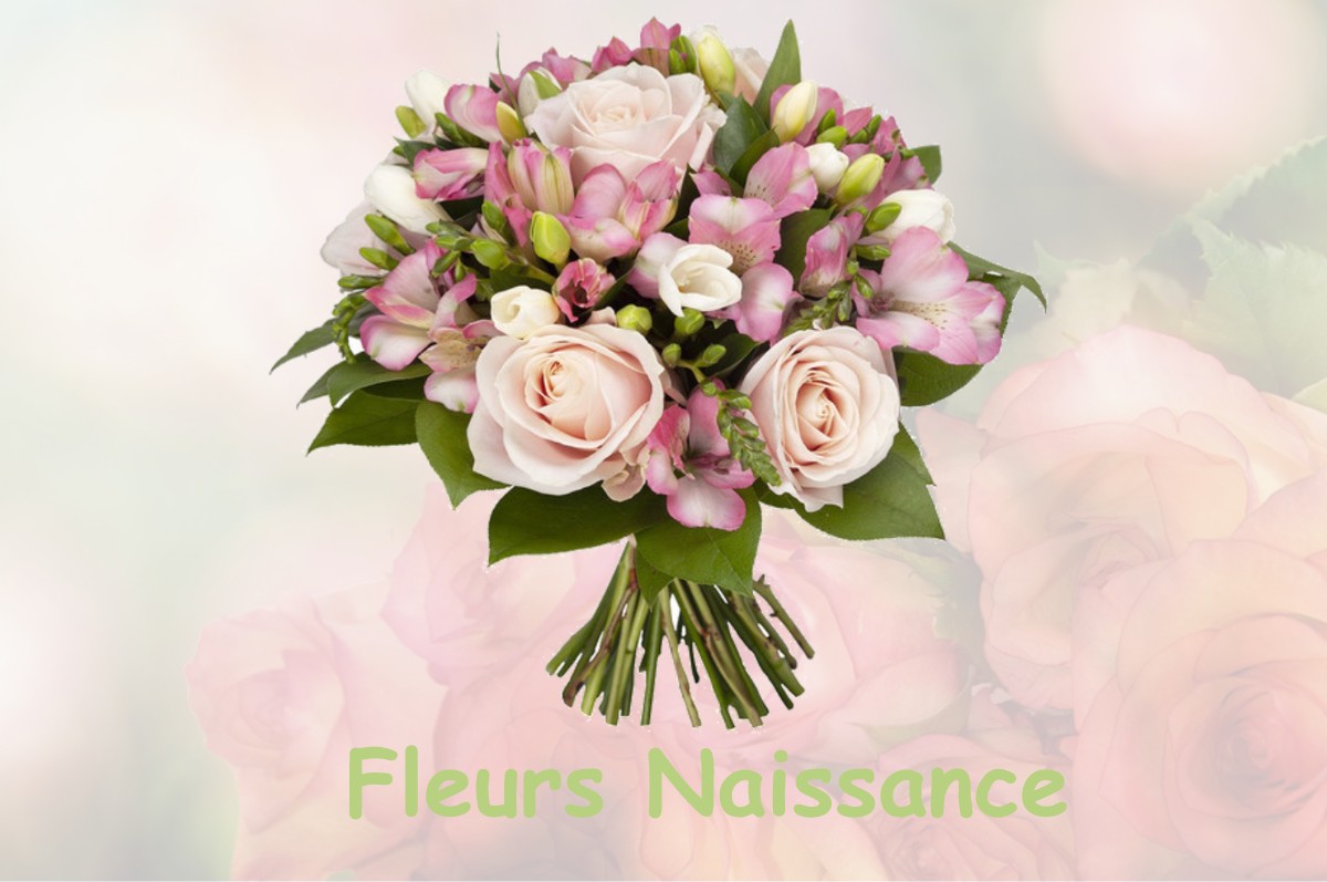 fleurs naissance SAINT-MAURICE-LE-GIRARD
